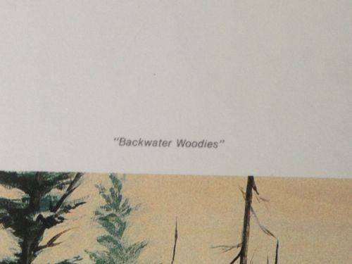 Original Michael Glenn Monroe Backwater Woodies Lithograph Print Number/Signed   - TvMovieCards.com