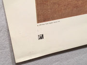 Vintage Yun Shou-p'ing CHERRY BLOSSOMS AND WILD ROSES New York Graphic Print   - TvMovieCards.com