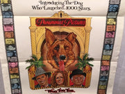Original 1976 "Won Ton Ton" 1 Sheet Movie Poster 27x 41" Bruce Dern   - TvMovieCards.com