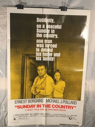 Original Sunday In The Country 1974 1 Sh Movie Poster 27"x 41"   - TvMovieCards.com