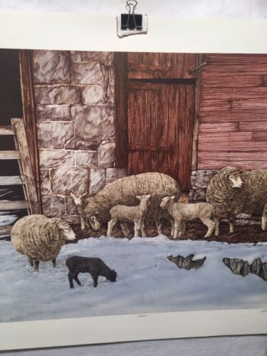 Vintage 1980 Gualo H. Lubeck "New Generation" Sheep Print Signed Numbered 63/275   - TvMovieCards.com