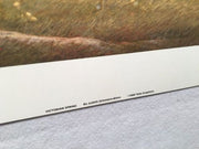 Vintage 1988 - Victorian Spring - Judith Zimmers-Blinn Limited Ed Print   - TvMovieCards.com
