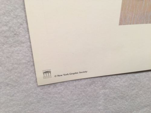 Vintage Sidney F. Willis Peonies - New York Graphic Print   - TvMovieCards.com