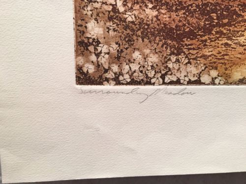 Vintage Cal Pepper "Surrounding Meadow" Lithograph Signed Numbered 153/250 Print   - TvMovieCards.com