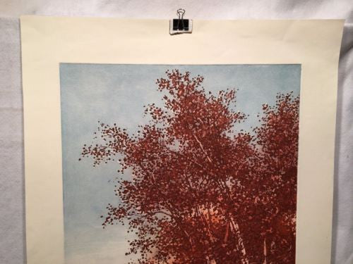 Vintage Cal Pepper "Surrounding Meadow" Lithograph Signed Numbered 153/250 Print   - TvMovieCards.com