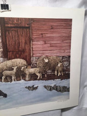 Vintage 1980 Gualo H. Lubeck "New Generation" Sheep Print Signed Numbered 63/275   - TvMovieCards.com