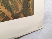 Vintage Chinese Artist Mandarin Ducks by a Stream New York Graphic Society Print   - TvMovieCards.com
