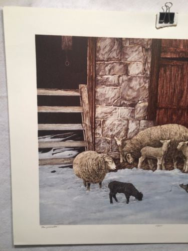 Vintage 1980 Gualo H. Lubeck "New Generation" Sheep Print Signed Numbered 63/275   - TvMovieCards.com