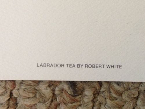Original Robert White "Labrador Tea" Lithograph Print Hand Signed   - TvMovieCards.com