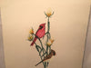 Vintage Laura Nevin "Cardinals" Etching Lithograph Print Signed Numbered 85/100   - TvMovieCards.com