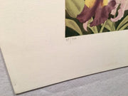 Miriam Ecker "Florescence" Young Girl in Flowers Signed Numbered 34/300 Print   - TvMovieCards.com