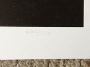 Betsy Popp " Misty Moon Hunters" Lithograph Print Number/Signed   - TvMovieCards.com