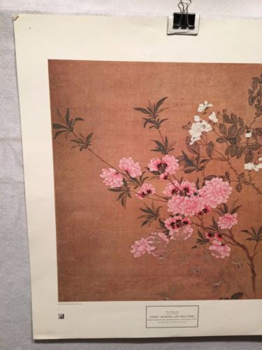 Vintage Yun Shou-p'ing CHERRY BLOSSOMS AND WILD ROSES New York Graphic Print   - TvMovieCards.com