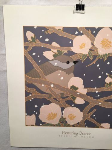 Flowering Quince - Sudi Mccollum - Lithograph Art Print Poster 24" x 24"   - TvMovieCards.com