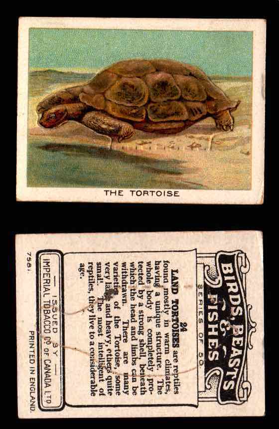 1923 Birds, Beasts, Fishes C1 Imperial Tobacco Vintage Trading Cards Singles #24 The Tortoise  - TvMovieCards.com