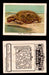 1923 Birds, Beasts, Fishes C1 Imperial Tobacco Vintage Trading Cards Singles #24 The Tortoise  - TvMovieCards.com