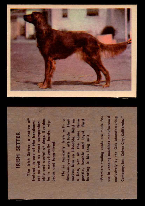 1957 Dogs Premiere Oak Man. R-724-4 Vintage Trading Cards You Pick Singles #1-42 #24 Irish Setter  - TvMovieCards.com