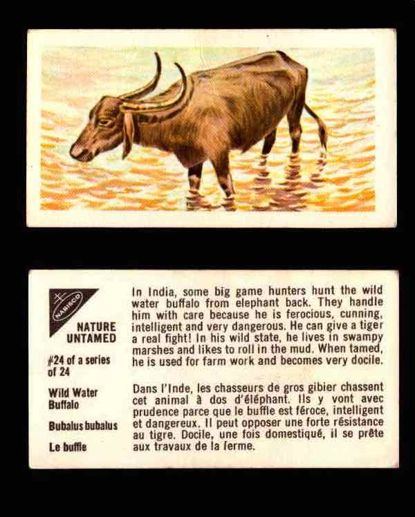 Nature Untamed Nabisco Vintage Trading Cards You Pick Singles #1-24 #24 Wild Water Buffalo  - TvMovieCards.com