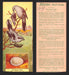 1924 Patterson's Bird Chocolate Vintage Trading Cards U Pick Singles #1-46 24 Butcher Bird  - TvMovieCards.com