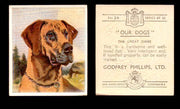 1939 Godfrey Phillips "Our Dogs" Tobacco You Pick Singles Trading Cards #1-30 #24 The Great Dane  - TvMovieCards.com