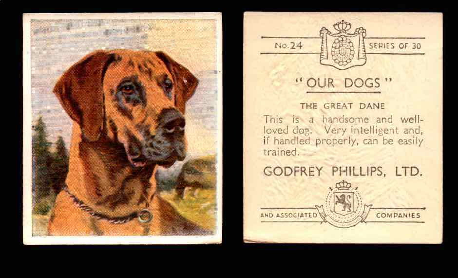 1939 Godfrey Phillips "Our Dogs" Tobacco You Pick Singles Trading Cards #1-30 #24 The Great Dane  - TvMovieCards.com