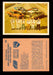 AHRA Official Drag Champs 1971 Fleer Canada Trading Cards You Pick Singles #1-63 24   The 1970 A.H.R.A. Grand American Professionals   Super Stock Category  - TvMovieCards.com