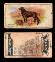 1925 Dogs 2nd Series Imperial Tobacco Vintage Trading Cards U Pick Singles #1-50 #24 Retriever (Flat Coated)  - TvMovieCards.com