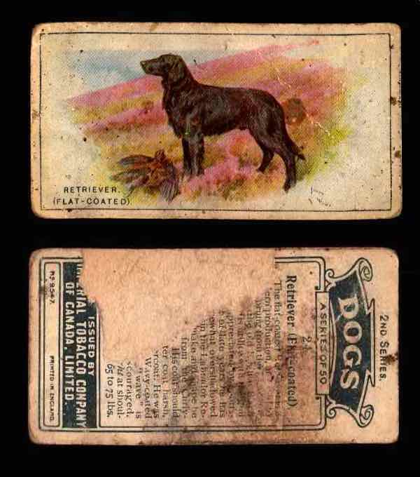 1925 Dogs 2nd Series Imperial Tobacco Vintage Trading Cards U Pick Singles #1-50 #24 Retriever (Flat Coated)  - TvMovieCards.com