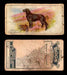 1925 Dogs 2nd Series Imperial Tobacco Vintage Trading Cards U Pick Singles #1-50 #24 Retriever (Flat Coated)  - TvMovieCards.com