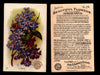 Beautiful Flowers New Series You Pick Singles Card #1-#60 Arm & Hammer 1888 J16 #24 Lilacs  - TvMovieCards.com