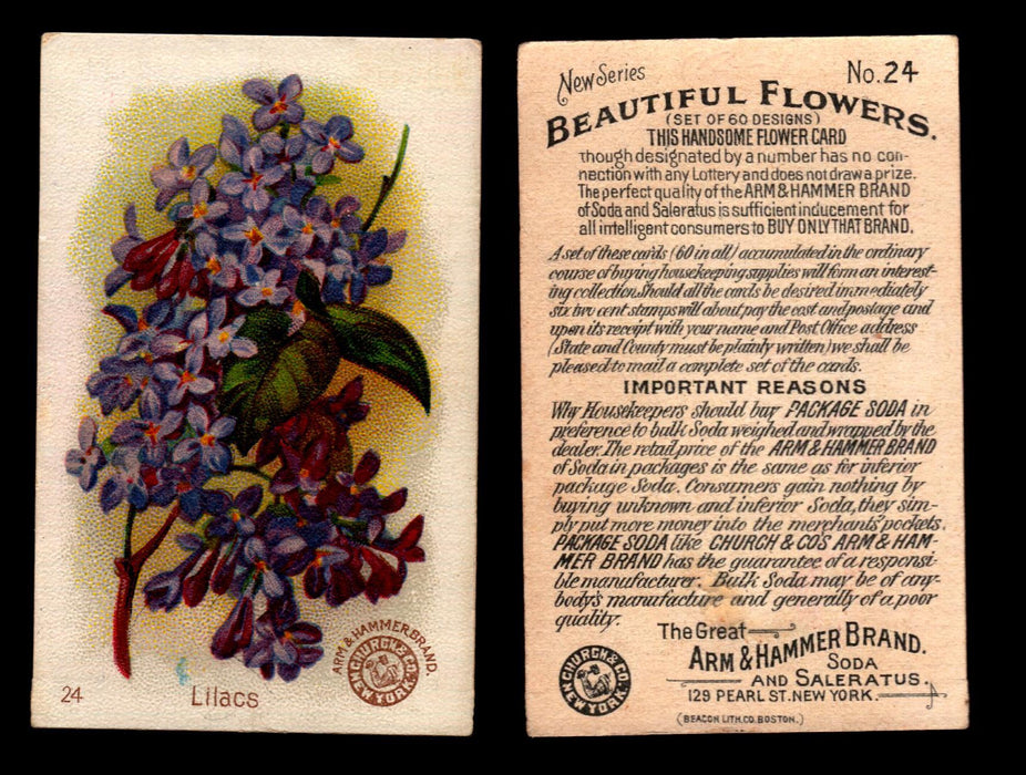 Beautiful Flowers New Series You Pick Singles Card #1-#60 Arm & Hammer 1888 J16 #24 Lilacs  - TvMovieCards.com