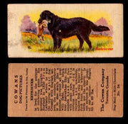1929 V13 Cowans Dog Pictures Vintage Trading Cards You Pick Singles #1-24 #24 Retriever  - TvMovieCards.com