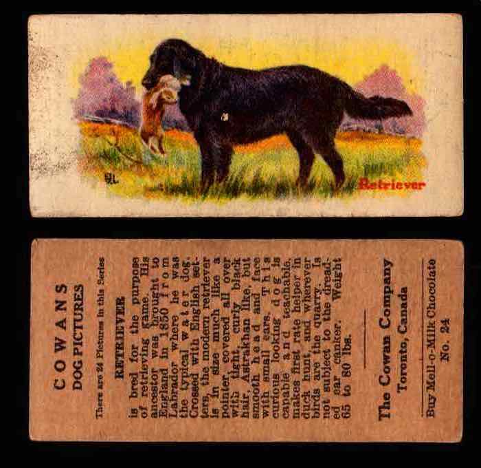 1929 V13 Cowans Dog Pictures Vintage Trading Cards You Pick Singles #1-24 #24 Retriever  - TvMovieCards.com