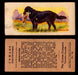 1929 V13 Cowans Dog Pictures Vintage Trading Cards You Pick Singles #1-24 #24 Retriever  - TvMovieCards.com