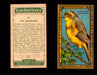 1910 Game Bird Series C14 Imperial Tobacco Vintage Trading Cards Singles #1-30 #24 The Warblers  - TvMovieCards.com