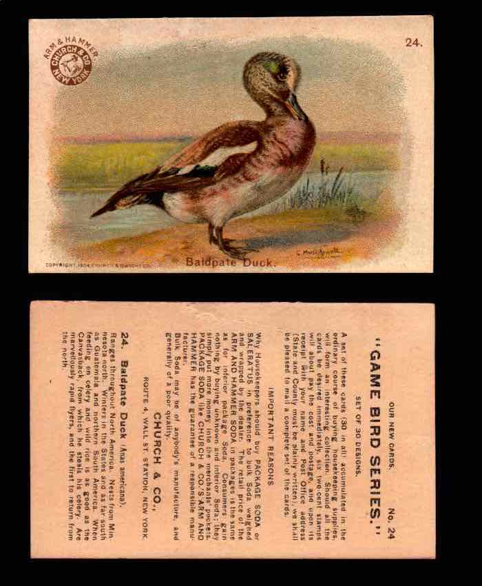 1904 Arm & Hammer Game Bird Series Vintage Trading Cards Singles #1-30 #24 Baldpate Duck  - TvMovieCards.com