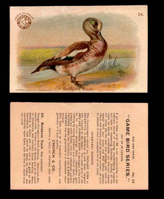 1904 Arm & Hammer Game Bird Series Vintage Trading Cards Singles #1-30 #24 Baldpate Duck  - TvMovieCards.com