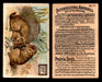 Interesting Animals You Pick Single Card #1-60 1892 J10 Church Arm & Hammer #24 Prairie Dogs Dwight Soda  - TvMovieCards.com