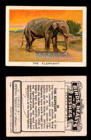1923 Birds, Beasts, Fishes C1 Imperial Tobacco Vintage Trading Cards Singles #25 The Elephant  - TvMovieCards.com