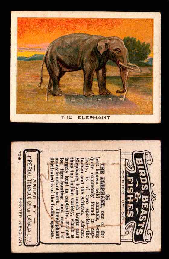 1923 Birds, Beasts, Fishes C1 Imperial Tobacco Vintage Trading Cards Singles #25 The Elephant  - TvMovieCards.com
