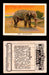 1923 Birds, Beasts, Fishes C1 Imperial Tobacco Vintage Trading Cards Singles #25 The Elephant  - TvMovieCards.com