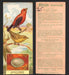 1924 Patterson's Bird Chocolate Vintage Trading Cards U Pick Singles #1-46 25 Scarlet Tanager  - TvMovieCards.com
