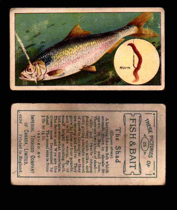 1910 Fish and Bait Imperial Tobacco Vintage Trading Cards You Pick Singles #1-50 #25 The Shad  - TvMovieCards.com