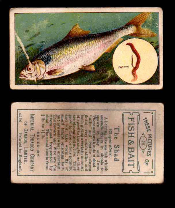 1910 Fish and Bait Imperial Tobacco Vintage Trading Cards You Pick Singles #1-50 #25 The Shad  - TvMovieCards.com