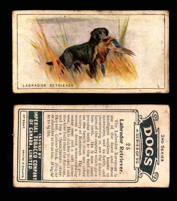 1925 Dogs 2nd Series Imperial Tobacco Vintage Trading Cards U Pick Singles #1-50 #25 Labrador Retriever  - TvMovieCards.com