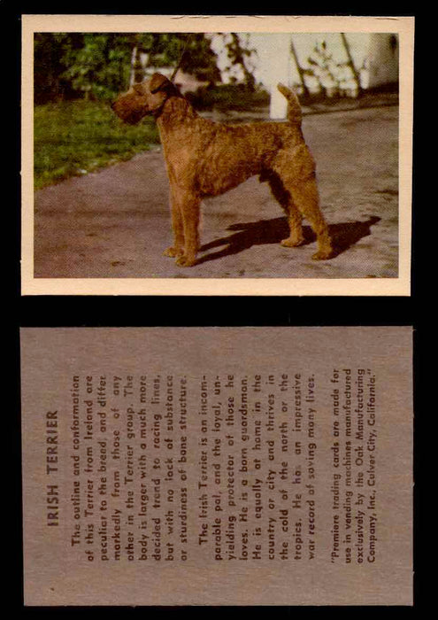 1957 Dogs Premiere Oak Man. R-724-4 Vintage Trading Cards You Pick Singles #1-42 #25 Irish Terrier  - TvMovieCards.com
