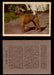 1957 Dogs Premiere Oak Man. R-724-4 Vintage Trading Cards You Pick Singles #1-42 #25 Irish Terrier  - TvMovieCards.com