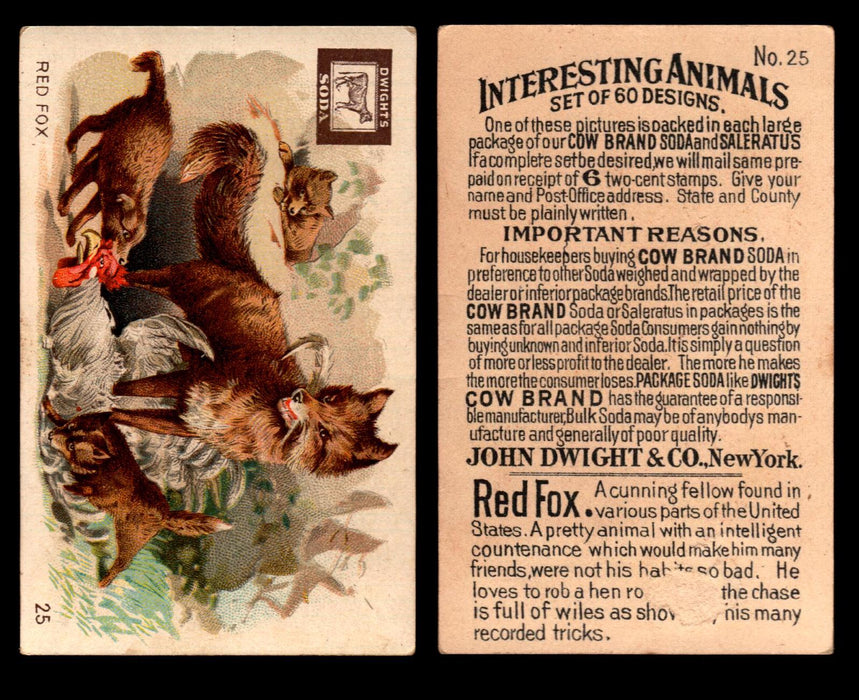 Interesting Animals You Pick Single Card #1-60 1892 J10 Church Arm & Hammer #25 Red Fox Dwight Soda  - TvMovieCards.com