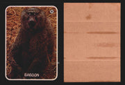 Zoo's Who Topps Animal Sticker Trading Cards You Pick Singles #1-40 1975 #26 Baboon  - TvMovieCards.com