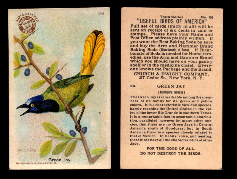 Birds - Useful Birds of America 3rd Series You Pick Singles Church & Dwight J-7 #26 Green Jay  - TvMovieCards.com